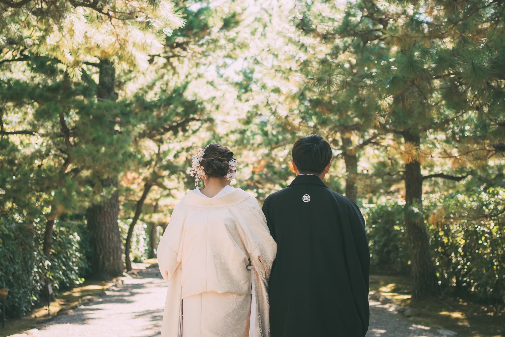 Couple in iro-uchikake and montsuki-hakama walking a sunlit pine avenue during a pre-wedding photoshoot in Japan