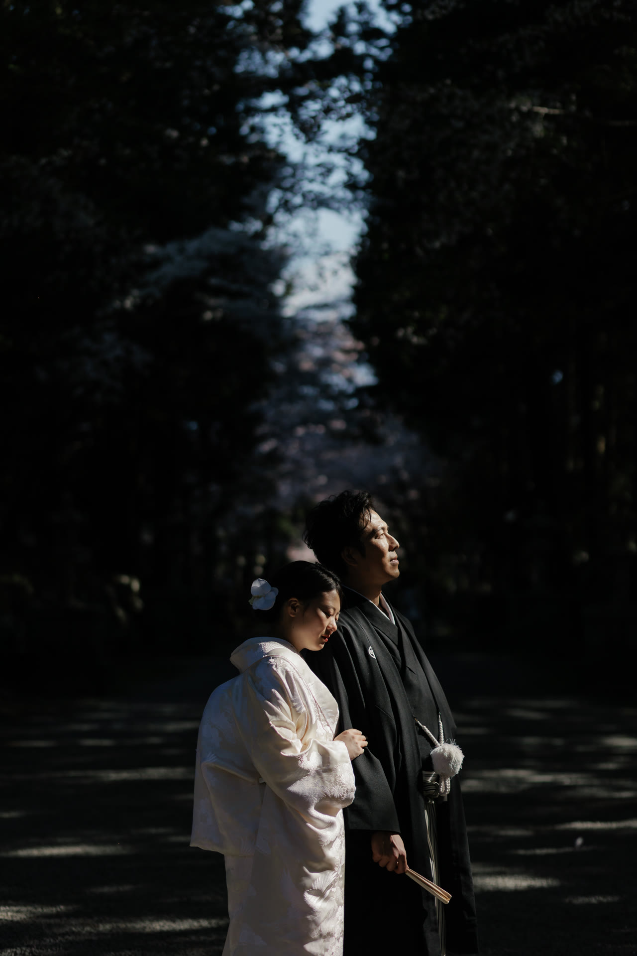 Couple in kimono lit by a shaft of sunlight on a dark cedar-lined shrine path