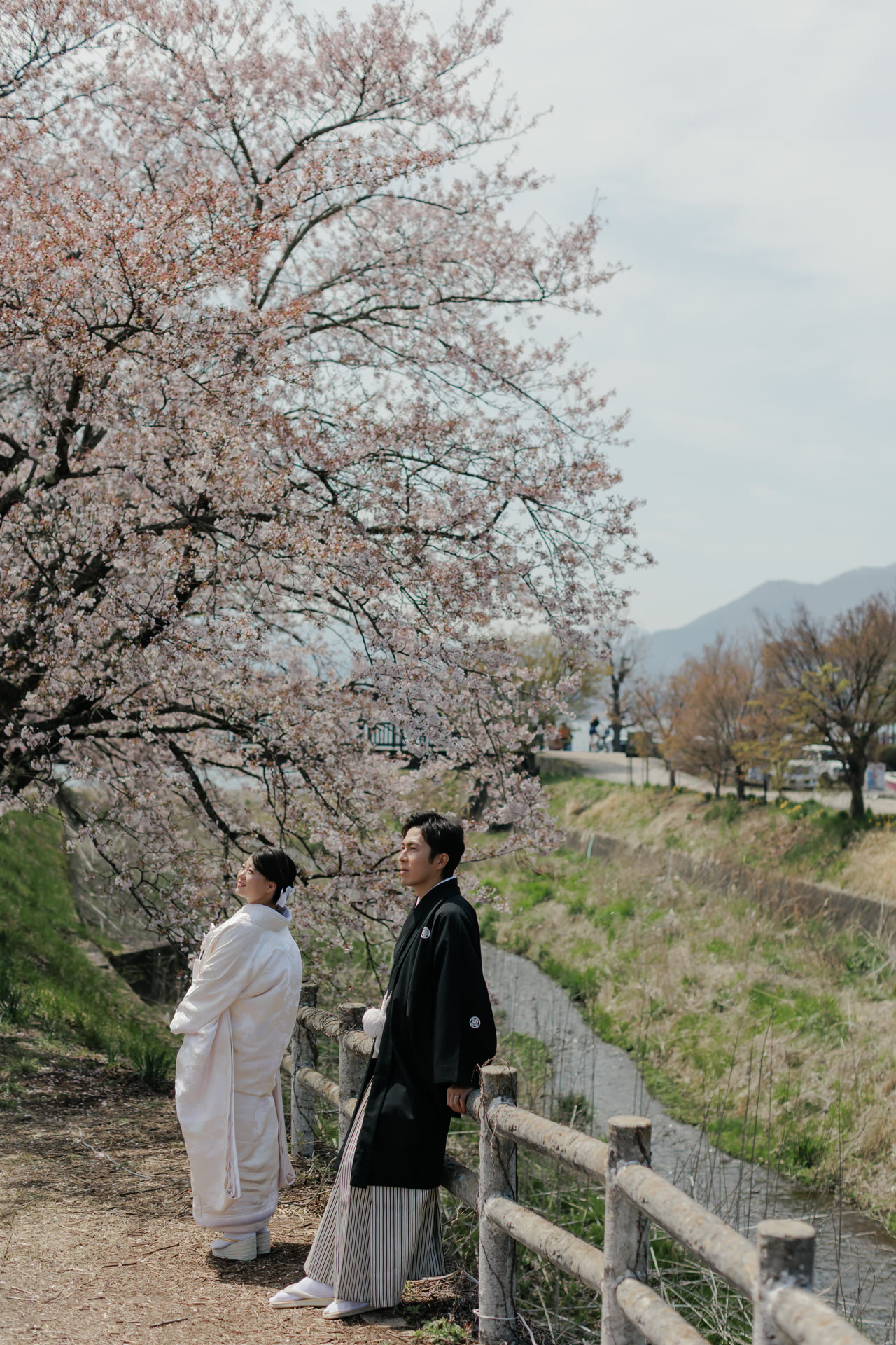 Couple in kimono on a raised lakeside path lined with cherry trees, Lake Kawaguchi below