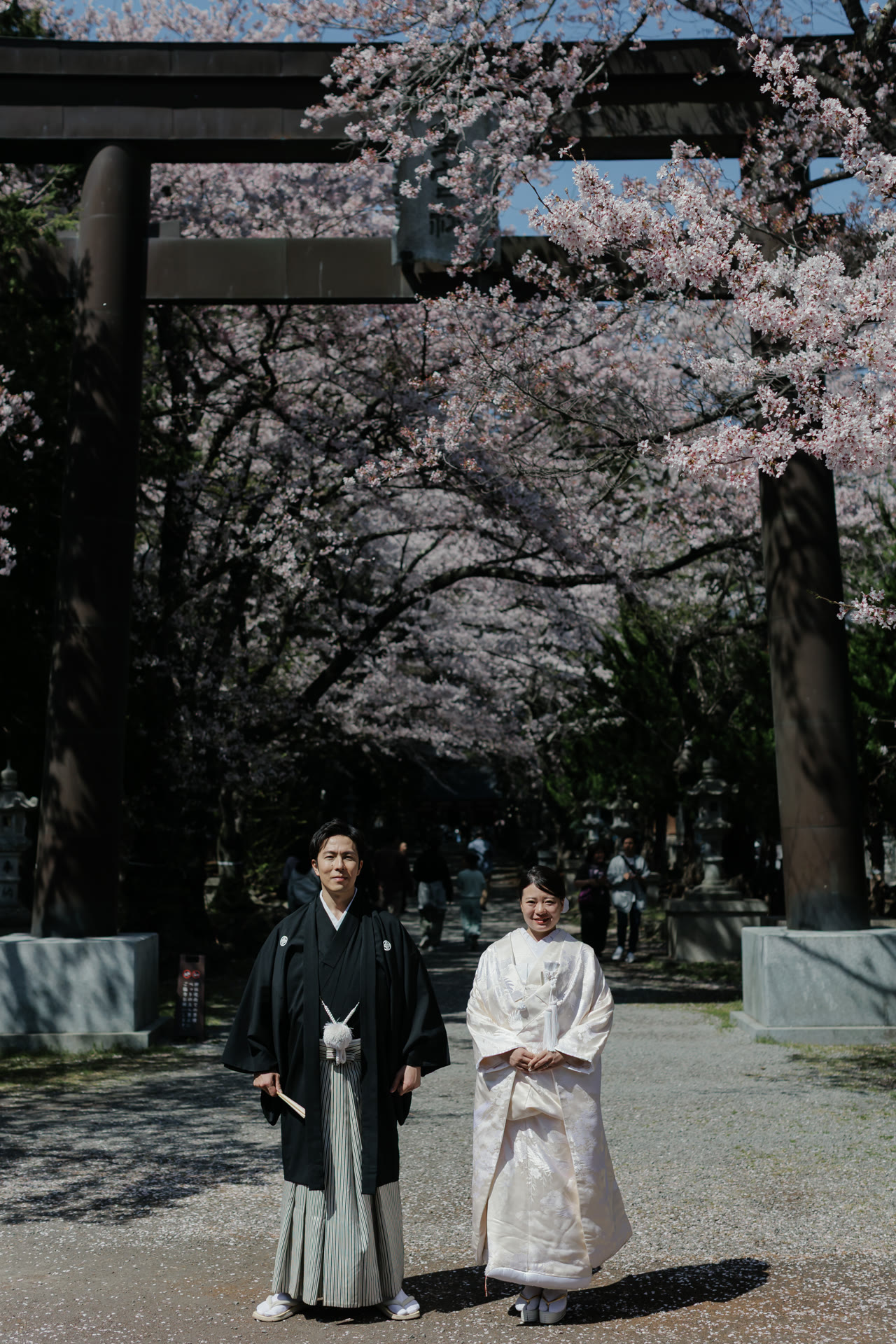 Couple in kimono on a shrine approach shaded by cherry trees