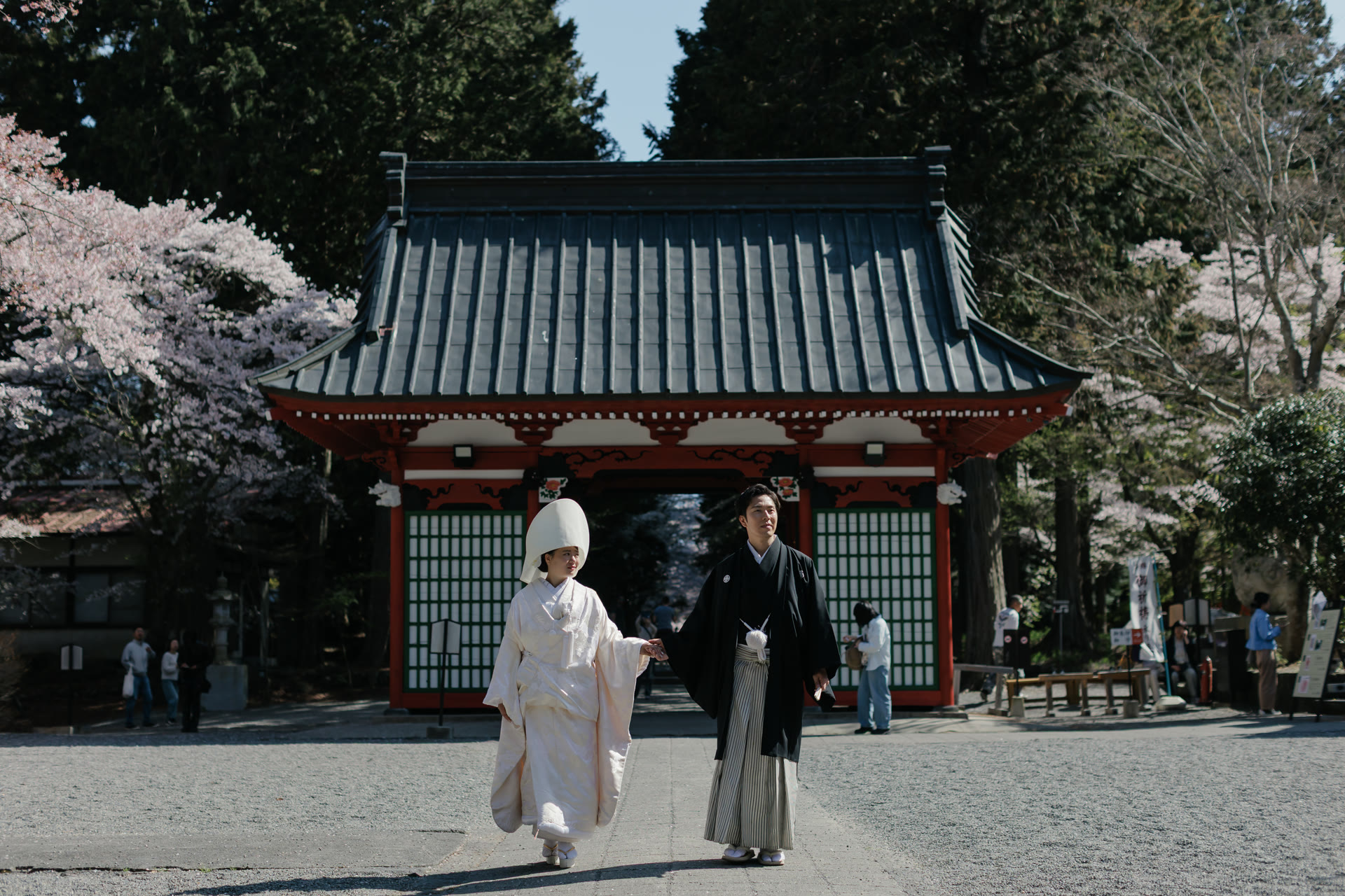 Bride and groom walking toward a vermilion shrine gate on a spring morning