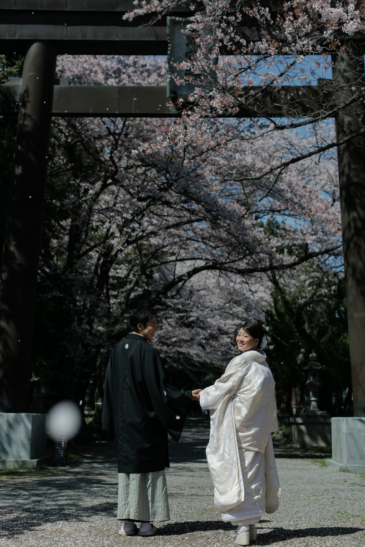 Couple facing each other beneath a torii gate with cherry blossom overhead
