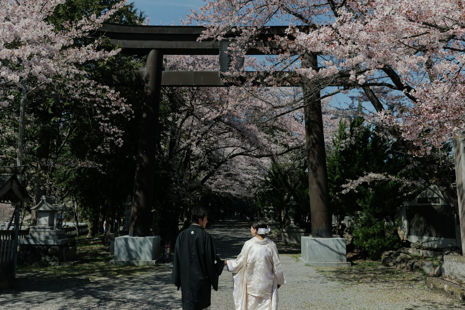 Bride and groom walking beneath a torii gate lined with cherry blossom