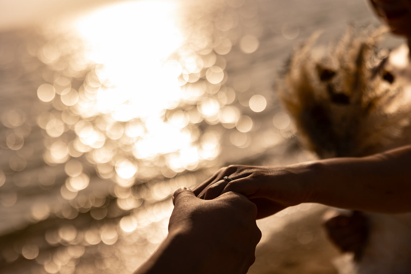 Hands reaching towards each other against light on the water