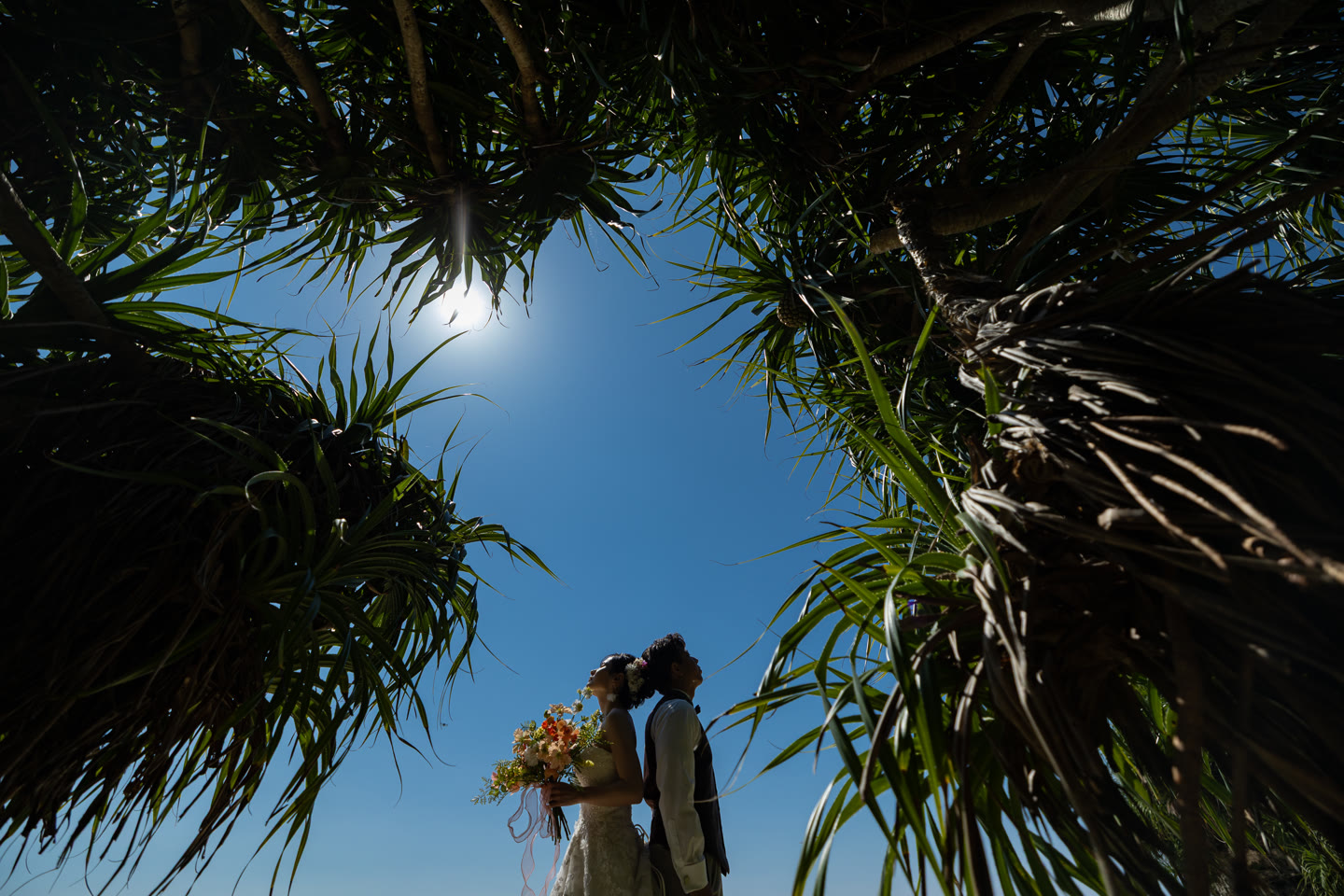 Couple seen through screw pine leaves against a blue Okinawa sky