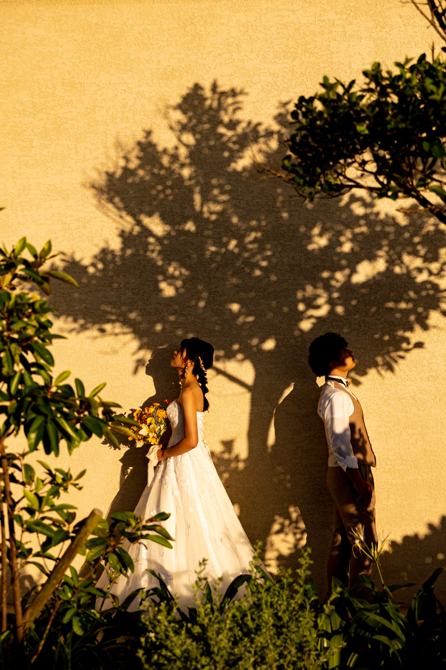 Couple beneath a tree in golden evening light in Okinawa